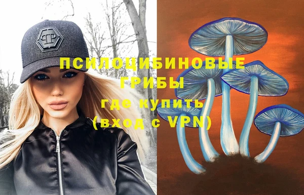 гашик Алзамай