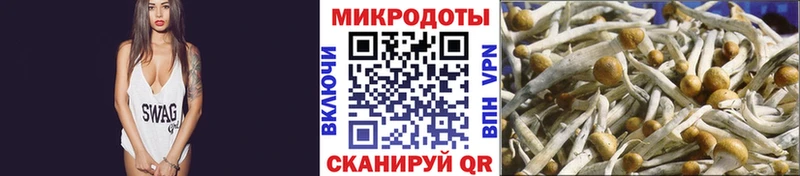 мега tor  Переславль-Залесский  Галлюциногенные грибы Cubensis  как найти  